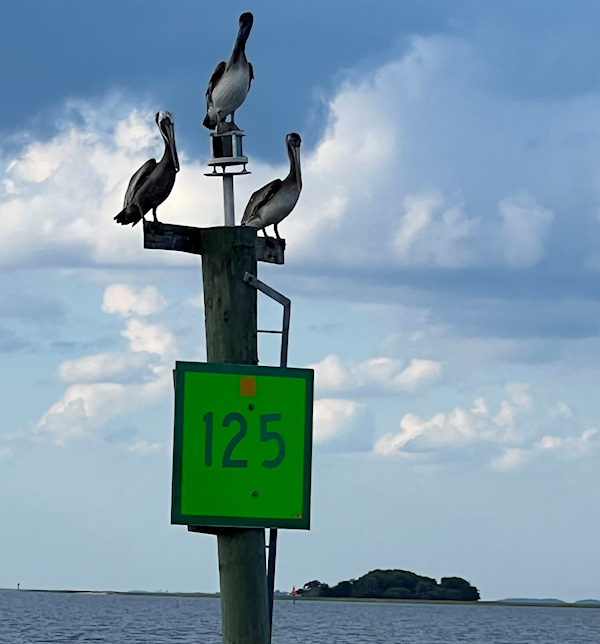 WILDLIFE PHOTOGRAPHY TOURS